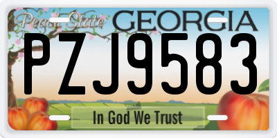 GA license plate PZJ9583
