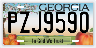 GA license plate PZJ9590