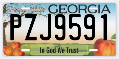 GA license plate PZJ9591