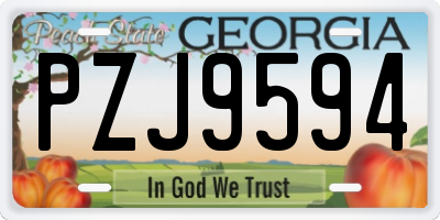 GA license plate PZJ9594