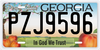 GA license plate PZJ9596