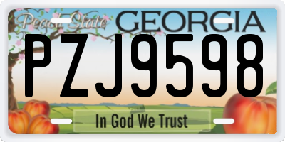 GA license plate PZJ9598