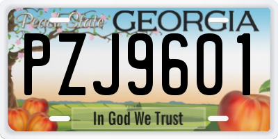 GA license plate PZJ9601