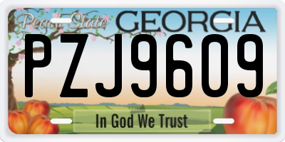 GA license plate PZJ9609