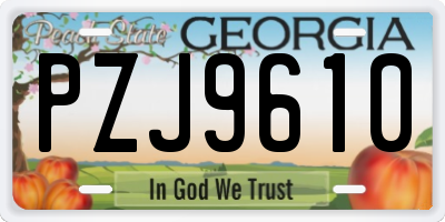 GA license plate PZJ9610