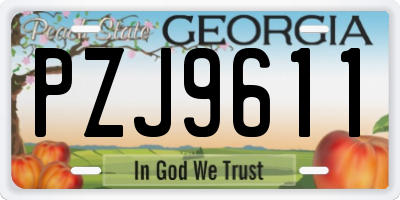 GA license plate PZJ9611