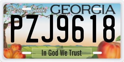 GA license plate PZJ9618