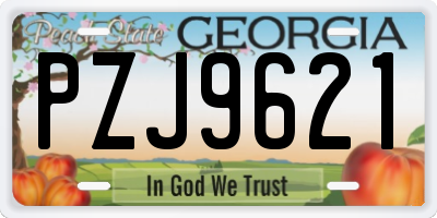 GA license plate PZJ9621