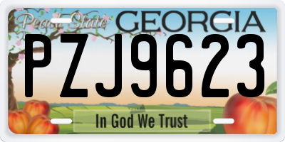 GA license plate PZJ9623