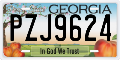GA license plate PZJ9624