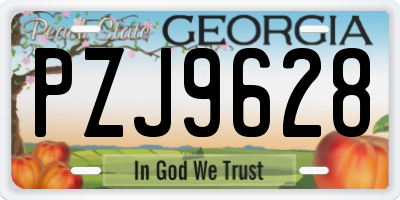 GA license plate PZJ9628