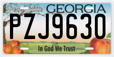 GA license plate PZJ9630