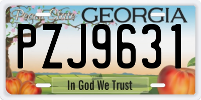 GA license plate PZJ9631