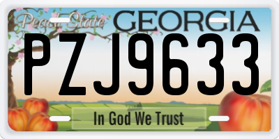 GA license plate PZJ9633