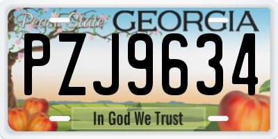 GA license plate PZJ9634