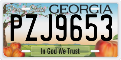 GA license plate PZJ9653