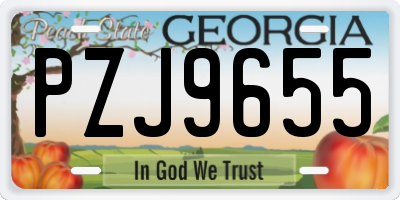 GA license plate PZJ9655