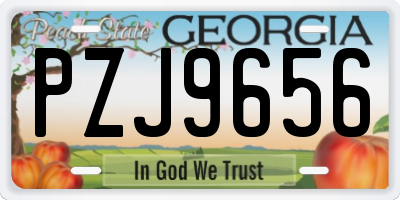 GA license plate PZJ9656