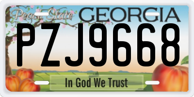 GA license plate PZJ9668