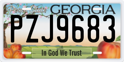 GA license plate PZJ9683