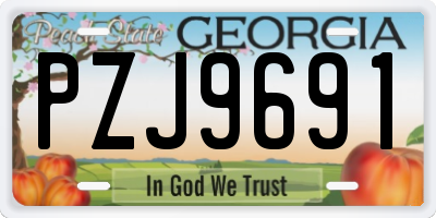 GA license plate PZJ9691