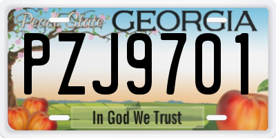 GA license plate PZJ9701