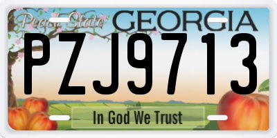 GA license plate PZJ9713