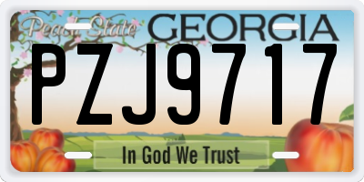 GA license plate PZJ9717