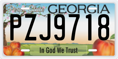 GA license plate PZJ9718