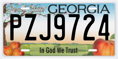 GA license plate PZJ9724