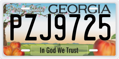 GA license plate PZJ9725