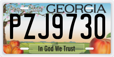 GA license plate PZJ9730