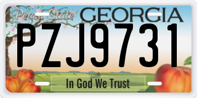 GA license plate PZJ9731