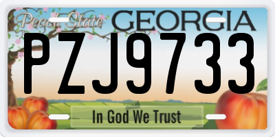 GA license plate PZJ9733