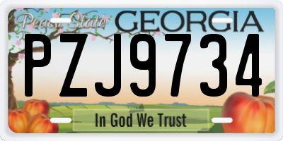GA license plate PZJ9734
