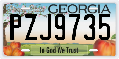 GA license plate PZJ9735