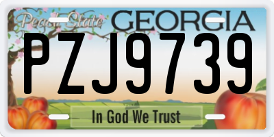 GA license plate PZJ9739