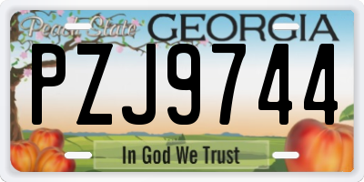 GA license plate PZJ9744