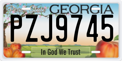 GA license plate PZJ9745