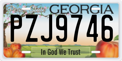 GA license plate PZJ9746