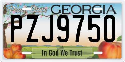 GA license plate PZJ9750