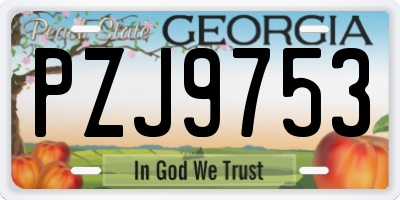 GA license plate PZJ9753