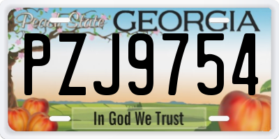 GA license plate PZJ9754