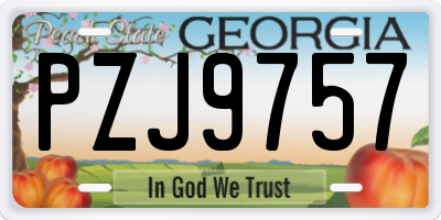 GA license plate PZJ9757
