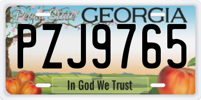 GA license plate PZJ9765