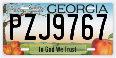 GA license plate PZJ9767