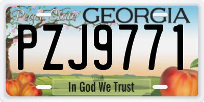 GA license plate PZJ9771