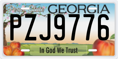 GA license plate PZJ9776