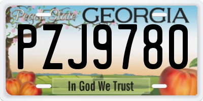 GA license plate PZJ9780