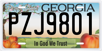 GA license plate PZJ9801
